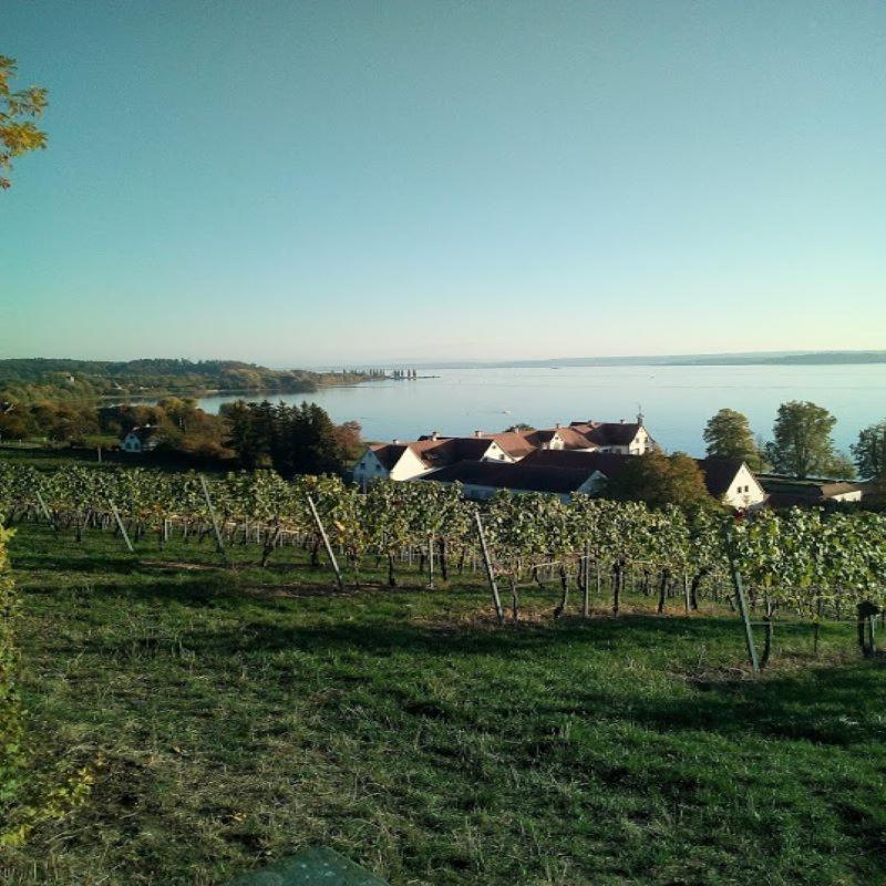 Uhldingen-Mühlhofen Ferienwohnung Am Bodensee מראה חיצוני תמונה