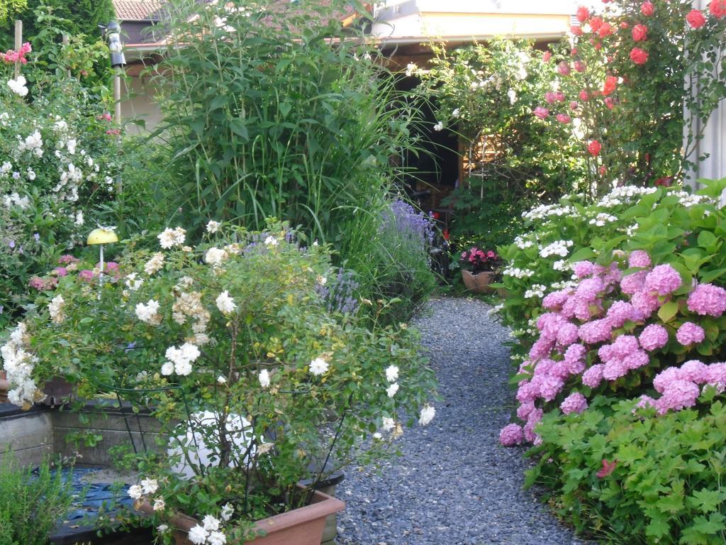 Uhldingen-Mühlhofen Ferienwohnung Am Bodensee מראה חיצוני תמונה